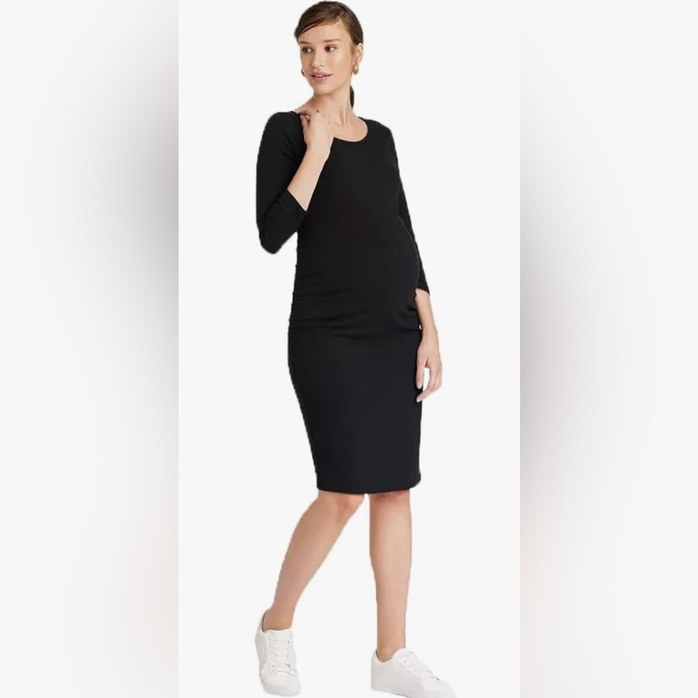 NWT Isabel maternity dress